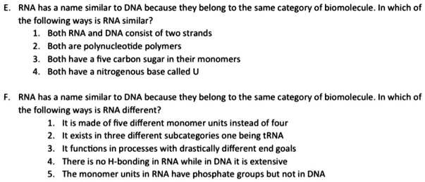 E. RNA has a name similar to DNA because they belong to the same category of biomolecule. In which of the following ways is RNA similar?
1. Both RNA and DNA consist of two strands
2. Both are polynucleotide polymers
3. Both have a five carbon sugar in their monomers
4. Both have a nitrogenous base called U

F. RNA has a name similar to DNA because they belong to the same category of biomolecule. In which of the following ways is RNA different?
1. It is made of five different monomer units instead of four
2. It exists in three different subcategories one being tRNA
3. It functions in processes with drastically different end goals
4. There is no H-bonding in RNA while in DNA it is extensive
5. The monomer units in RNA have phosphate groups but not in DNA