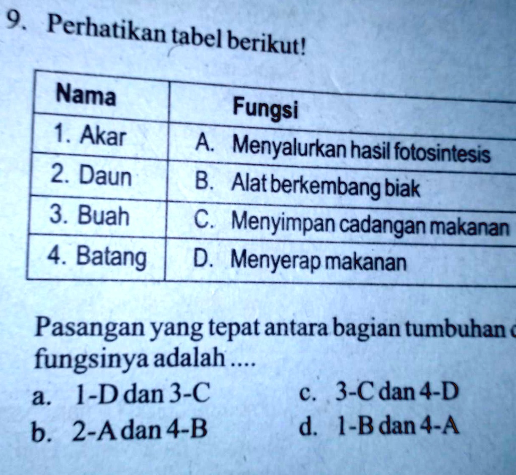 SOLVED: Jawab Dgn Benar,,,,,,dan Alasannya 9 Perhatikan Tabel Berikut ...