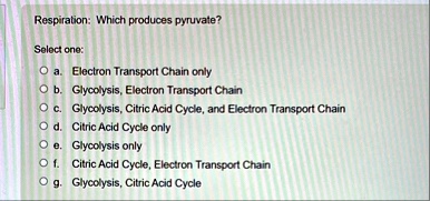 respiration which produces pyruvate select one o a electron transport chain only o b glycolysis electron transport chain o c glycolysis citric acid cycle and electron transport chain o d cit 20135