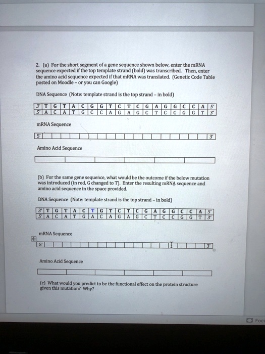 (a) For the short segment of a gene sequence shown below, enter the ...