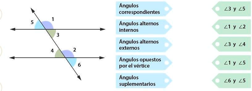 SOLVED: Observa el grafico siguiendo la numeración que aparece en el ...