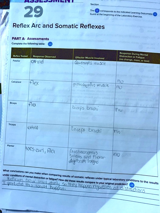 Which Of The Following Was Not Observed During This Activity 29 Section The corresponds to the indicated Learning Outcome(s) found