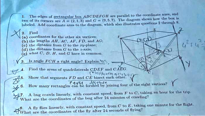 1. The edges of rectangular box ABCDEFGH are parallel to the coordinate axes, and
two of its corners are A = (2,1,3) and G = (9,5,7). The diagram shows how the box is
labeled. Add coordinate axes to the diagram, which also illustrates questions 2 through 8.
2. Find
(a) coordinates for the other six vertices:
(b) the lengths AH, AC, AF, FD, and AG;
(c) the distance from G to the xy-plane;
(d) the distance from G to the z-axis;
(e) what C, D, H, and G have in common.
3. Is angle FCH a right angle? Explain. YES,
4. Find the areas of quadrilaterals CDEF and CAEG.
5. Show that segments FD and CE bisect each other.
6. How many rectangles can be formed by joining four of the eight vertices?
7. A bug crawls linearly, with constant speed, from F to C, taking an hour for the trip.
What are the coordinates of the bug after 24 minutes of crawling?
8. A fly flies linearly, with constant speed, from C to E, taking one minute for the flight.
What are the coordinates of the fly after 24 seconds of flying?