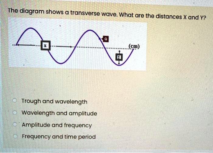 The diagram shows a transverse wave. What are the distances X and Y ...