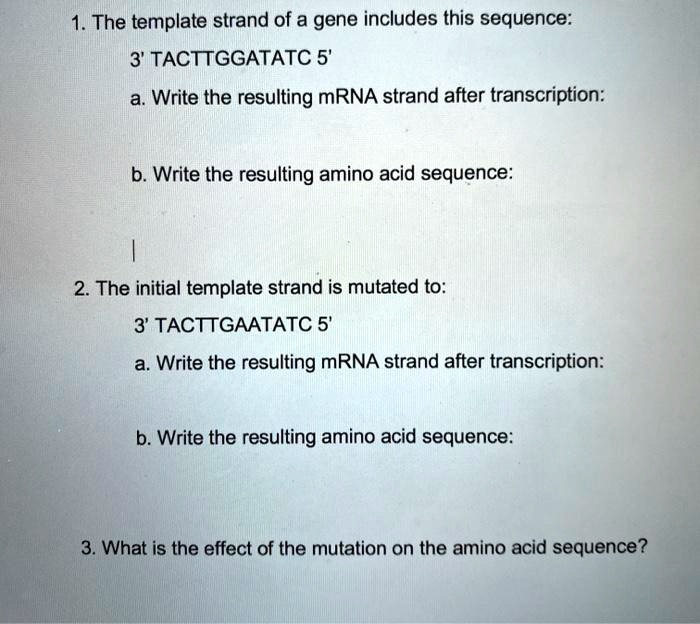 SOLVED: The template strand of a gene includes this sequence: 3 ...