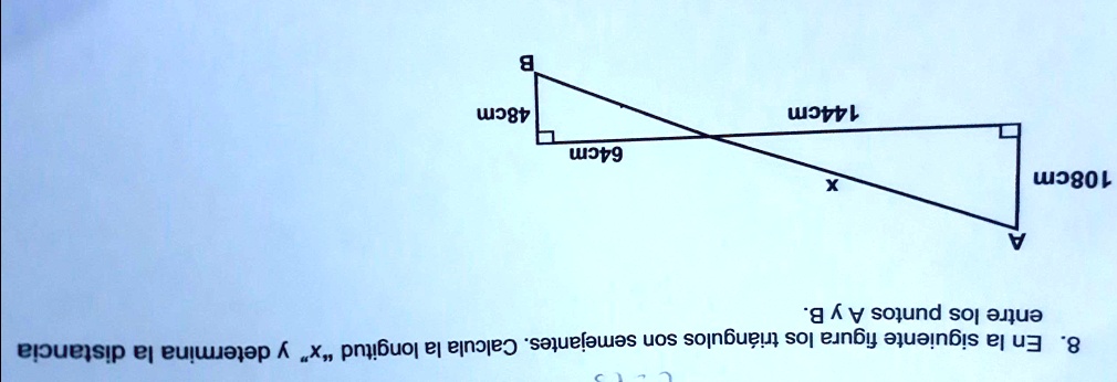 Solved 8 En La Siguiente Figura Los Triángulos Son Semejantes Calcula La Longitud X Y 4275