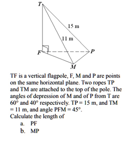 TF is a vertical flagpole, F, M and P are points on the same horizontal ...