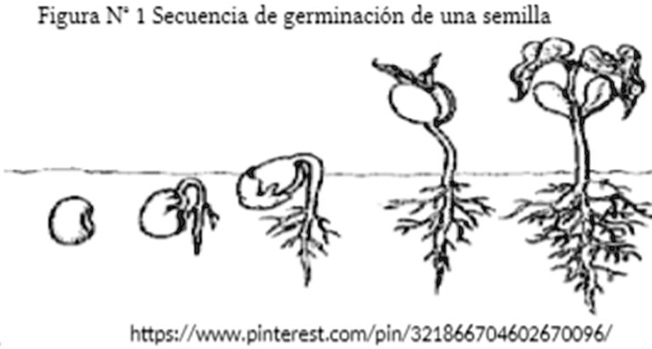 SOLVED: AYUDAAAAAAAAAAAAAAA - ¿Qué cambios están ocurriendo en la