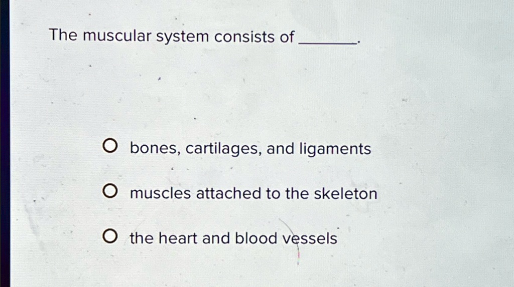 The muscular system consists of ? bones, cartilages, and ligaments ...