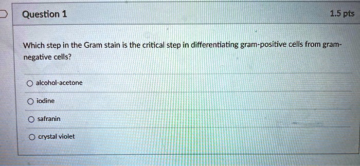 question-11-5-ptswhich-step-in-the-gram-stain-is-the-solvedlib