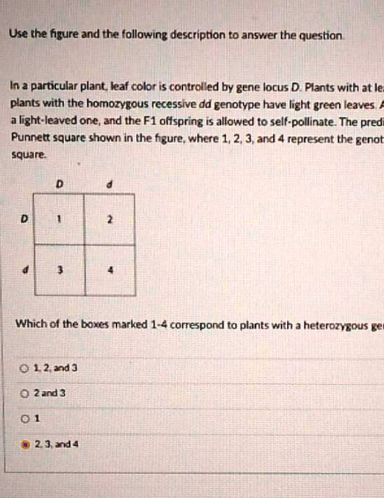 Solved: Use The Figure And The Following Description To Answer The 