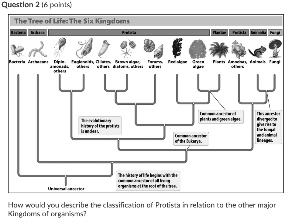 The Tree of Life: The Six Kingdoms Bacteria Archaea Protista Plantae ...