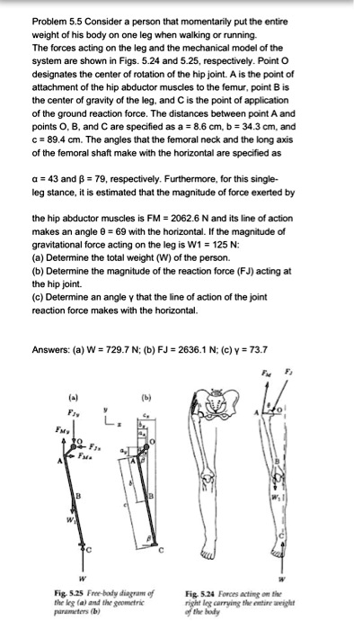 problem 55 consider a person that momentarily put the entire weight of ...