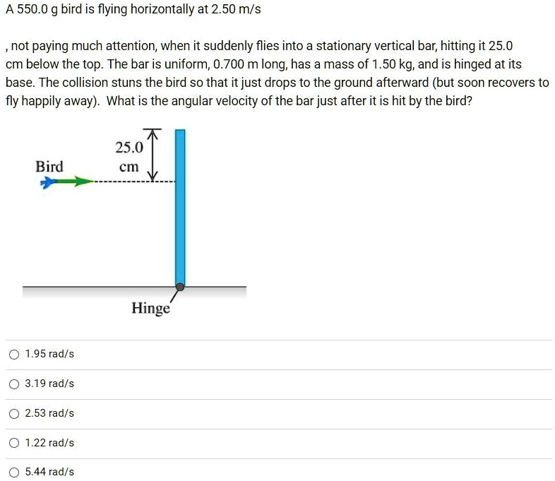 A 550.0 g bird is flying horizontally at 2.50 m/snot … SolvedLib