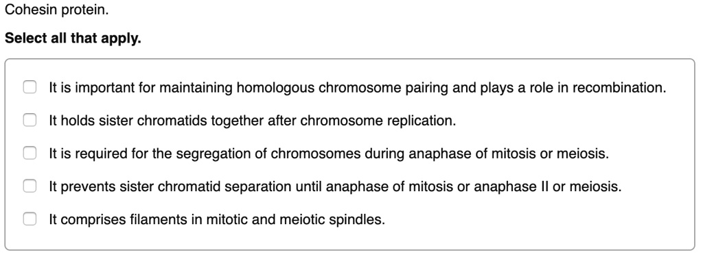 Cohesin protein.
Select all that apply.
It is important for maintaining homologous chromosome pairing and plays a role in recombination.
It holds sister chromatids together after chromosome replication.
It is required for the segregation of chromosomes during anaphase of mitosis or meiosis.
It prevents sister chromatid separation until anaphase of mitosis or anaphase II or meiosis.
It comprises filaments in mitotic and meiotic spindles.