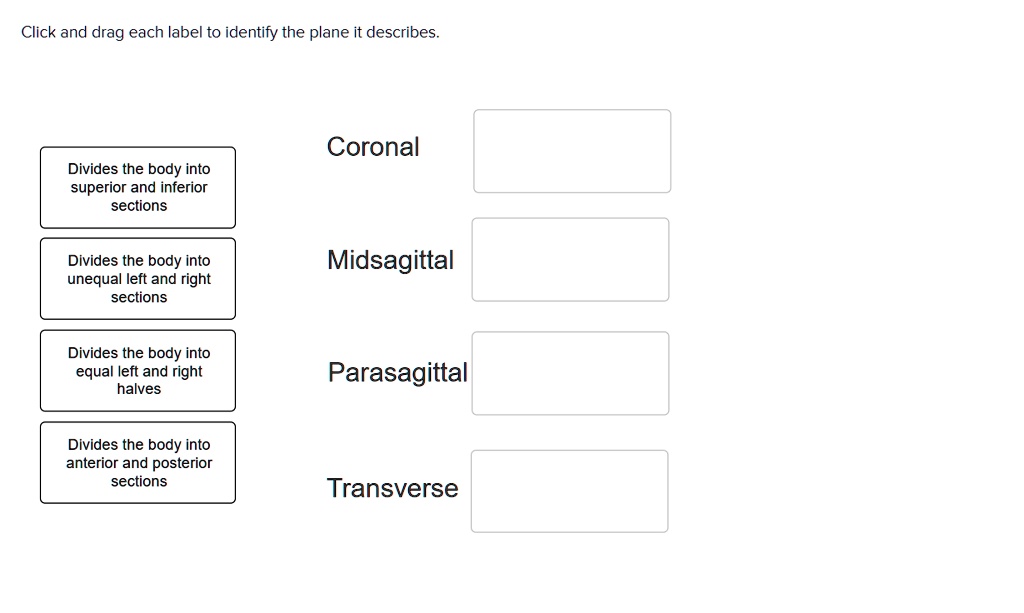 Click and drag each label to identify the plane it describes. Divides ...