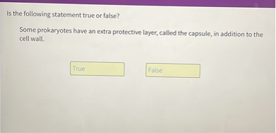 Is the following statement true or false?
Some prokaryotes have an extra protective layer, called the capsule, in addition to the cell wall.

True
False