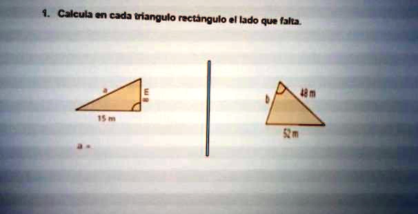 SOLVED: calcula en cada Triángulo rectángulo que lado falta por favor ...