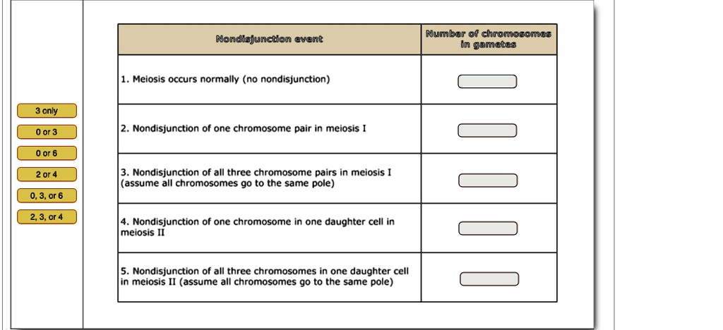 Nondisjunction event
Number of chromosomes in gametes
1. Meiosis occurs normally (no nondisjunction)
2. Nondisjunction of one chromosome pair in meiosis I
3. Nondisjunction of all three chromosome pairs in meiosis I (assume all chromosomes go to the same pole)
4. Nondisjunction of one chromosome in one daughter cell in meiosis II
5. Nondisjunction of all three chromosomes in one daughter cell in meiosis II (assume all chromosomes go to the same pole)