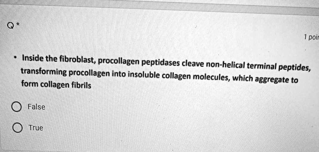 Inside the fibroblast, procollagen peptidases cleave non-helical terminal peptides, transforming procollagen into insoluble collagen molecules, which aggregate to form collagen fibrils
False
True