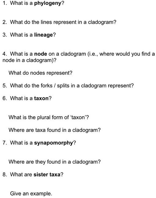 1. What is a phylogeny?

2. What do the lines represent in a cladogram?

3. What is a lineage?

4. What is a node on a cladogram (i.e., where would you find a node in a cladogram)?

What do nodes represent?

5. What do the forks / splits in a cladogram represent?

6. What is a taxon?

What is the plural form of ‘taxon’?

Where are taxa found in a cladogram?

7. What is a synapomorphy?

Where are they found in a cladogram?

8. What are sister taxa?

Give an example.