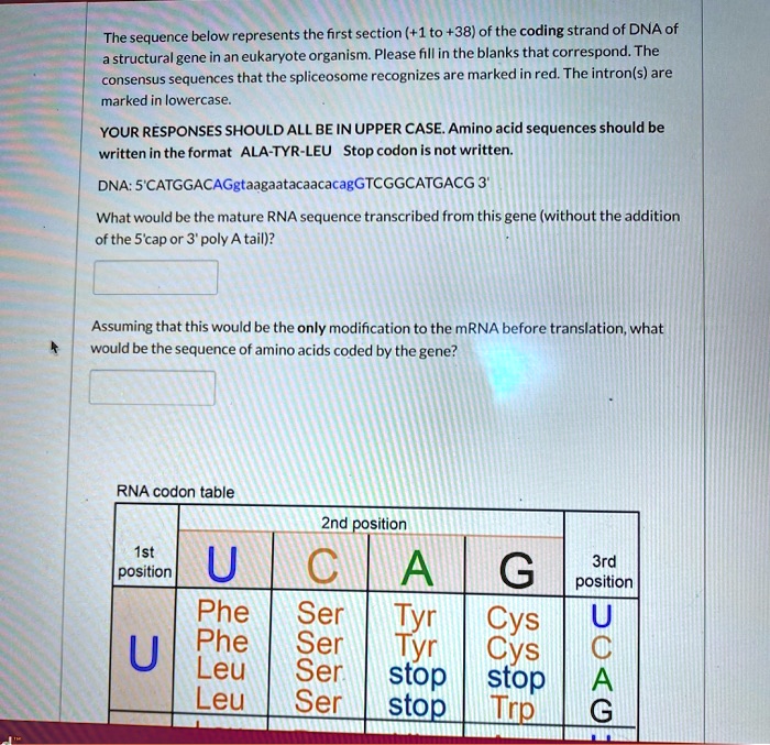 the sequence below represents the first section 1 to 38 of the coding ...