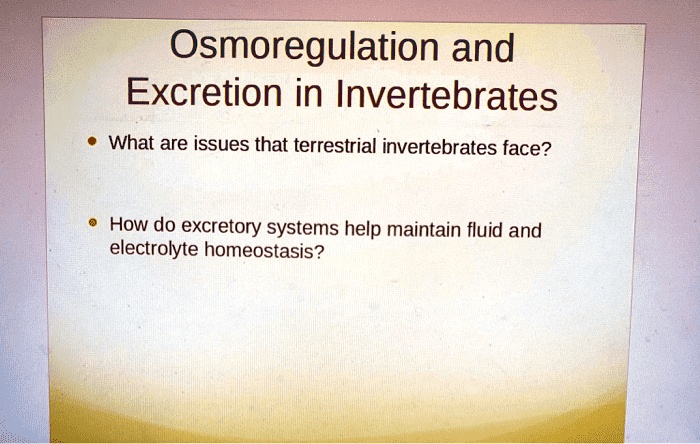 SOLVED: ' Please answer BOTH of the questions Osmoregulation and