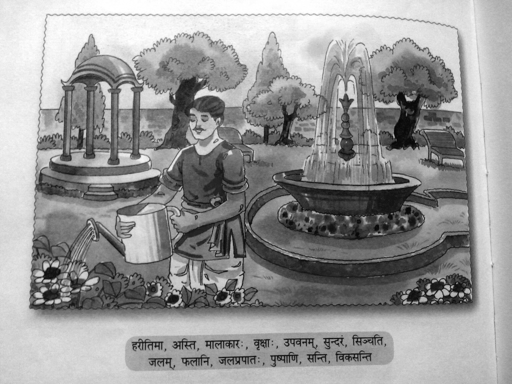 SOLVED Picture Description Please Write Five Sentences Describing solved-picture-description-please-write-five-sentences-describing