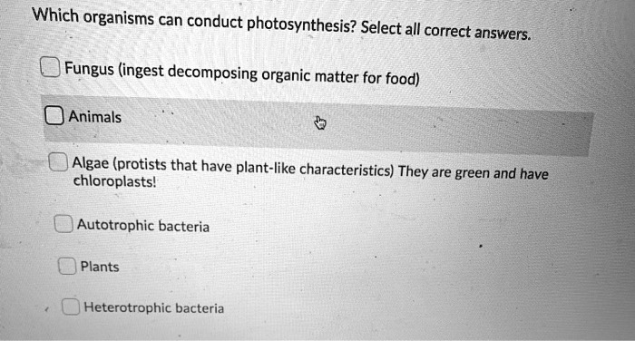 Which organisms can conduct photosynthesis? Select all correct answers.
Fungus (ingest decomposing organic matter for food)
Animals
Algae (protists that have plant-like characteristics) They are green and have chloroplasts!
Autotrophic bacteria
Plants
Heterotrophic bacteria