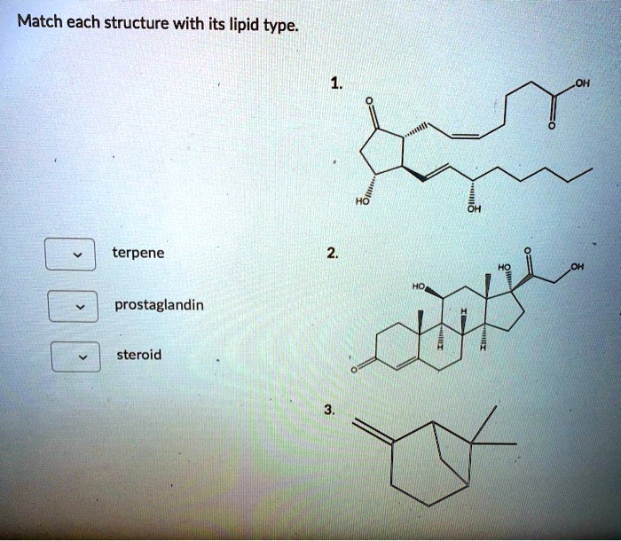 Die besten 20 Beispiele für steroide alternative