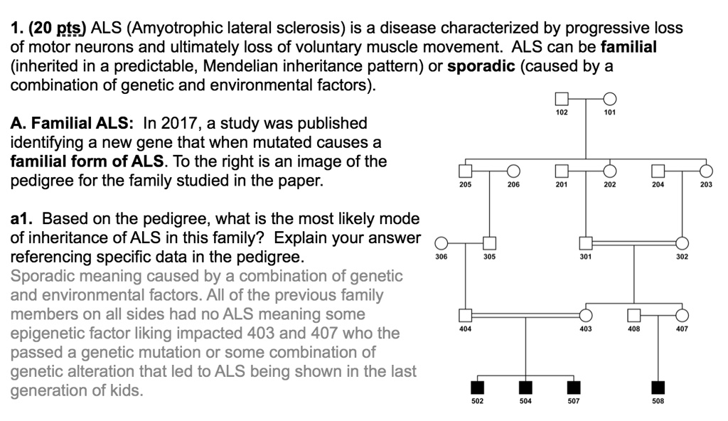 Solved 1 20 Pts Als Amyotrophic Lateral Sclerosis Is A Disease Characterized By Progressive Loss Of Motor Neurons And Ultimately Loss Of Voluntary Muscle Movement Als Can Be Familial Inherited In A Predictable
