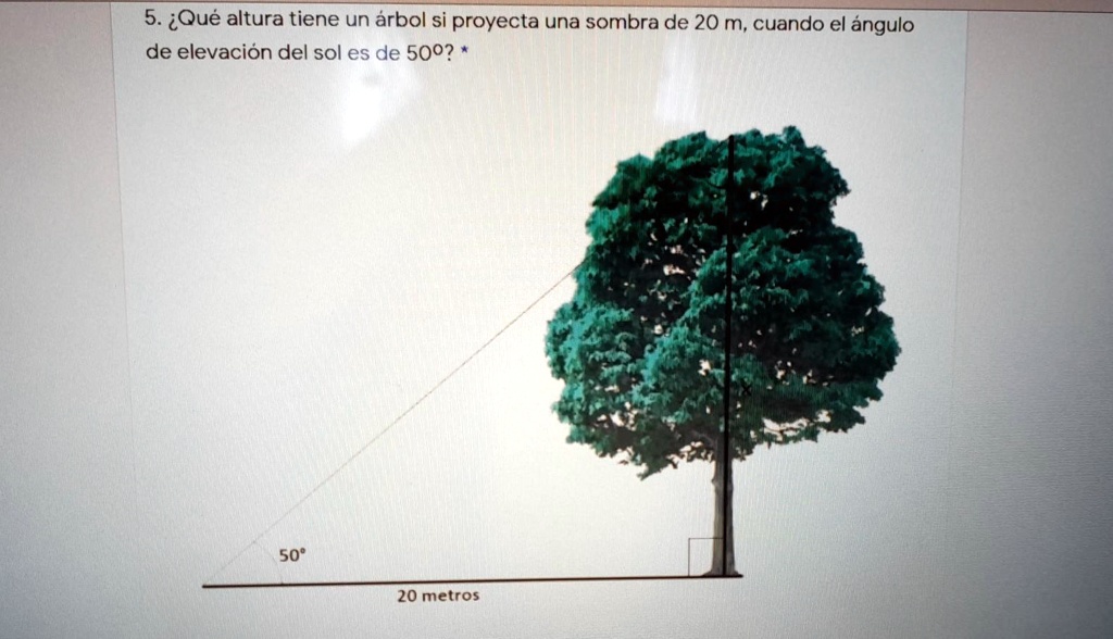 ¿Qué altura tiene un árbol si proyecta una sombra de 20 m, cuando el