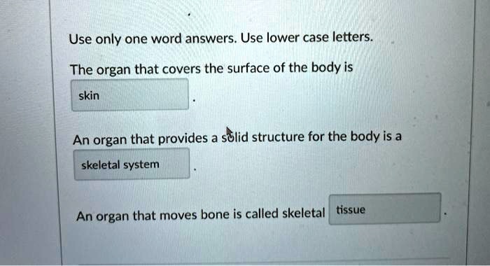 Use only one word answers. Use lower case letters.
The organ that covers the surface of the body is
skin
.
An organ that provides a solid structure for the body is a
skeletal system
.
An organ that moves bone is called skeletal tissue
.