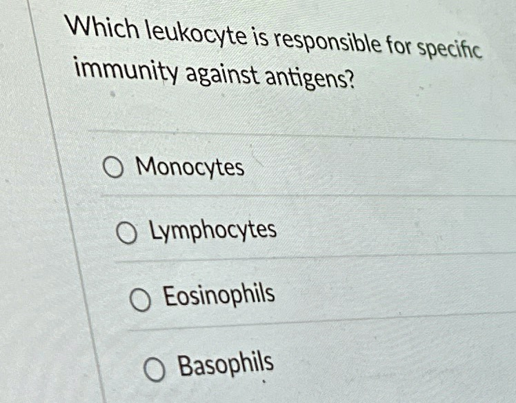 Which leukocyte is responsible for specific immunity against antigens?
O Monocytes
O Lymphocytes
O Eosinophils
O Basophils