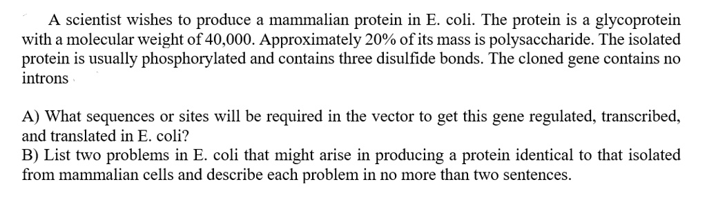A scientist wishes to produce a mammalian protein in E. coli. The protein is a glycoprotein with a molecular weight of 40,000. Approximately 20% of its mass is polysaccharide. The isolated protein is usually phosphorylated and contains three disulfide bonds. The cloned gene contains no introns
A) What sequences or sites will be required in the vector to get this gene regulated, transcribed, and translated in E. coli?
B) List two problems in E. coli that might arise in producing a protein identical to that isolated from mammalian cells and describe each problem in no more than two sentences.