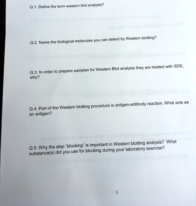 SOLVED 0.1. Define the term western blot analysis? molecules you can