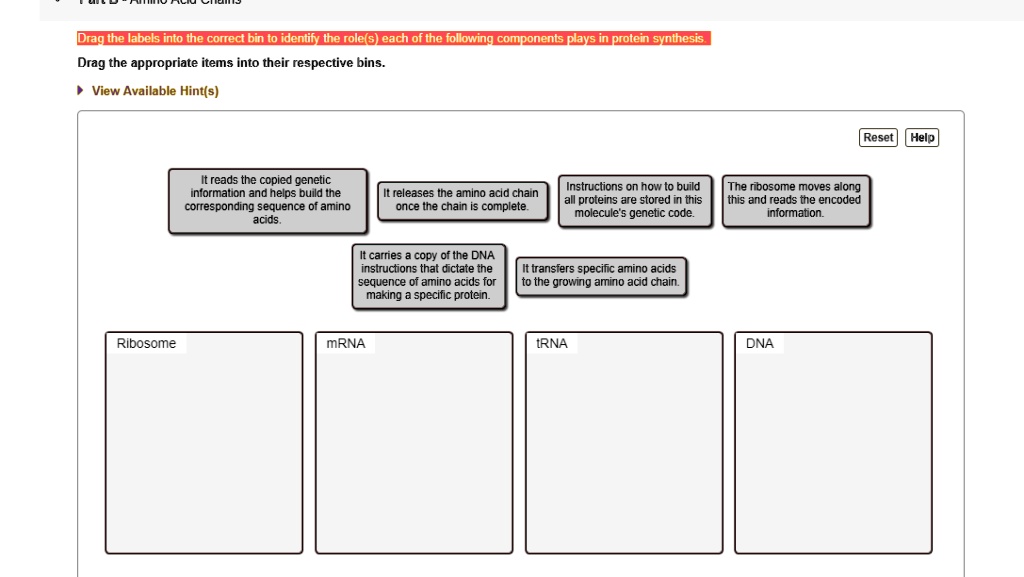 Drag the labels into the correct bin to identify the role(s) each of ...