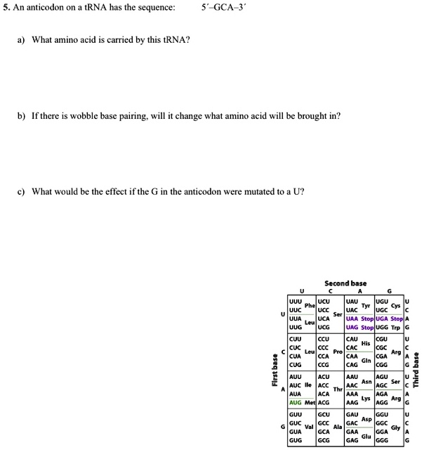5. An anticodon on a tRNA has the sequence: 5’–GCA–3’

a) What amino acid is carried by this tRNA?

b) If there is wobble base pairing, will it change what amino acid will be brought in?

c) What would be the effect if the G in the anticodon were mutated to a U?