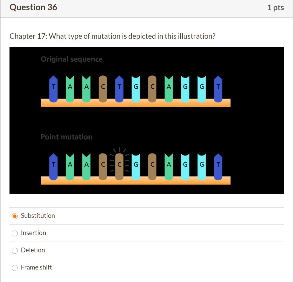 SOLVED Question 36 1 pts Chapter 17 What type of mutation is depicted
