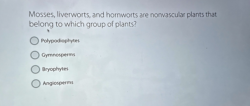 mosses liverworts and hornworts are nonvascular plants that belong to which group of plants polypodiophytes gymnosperms bryophytes angiosperms 38593
