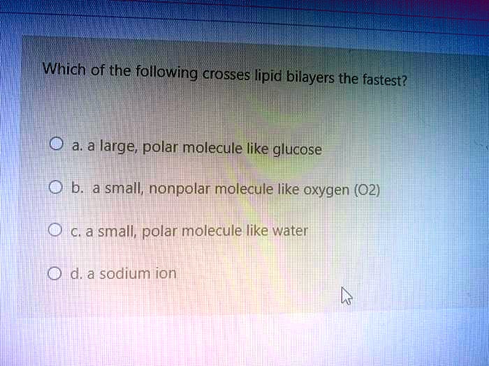 Solved:which Of The Following Crosses Lipid Bilayers The Fastest? 0 A;A  Large; Polar Molecule Like Glucose Olb. A Small; Nonpolar Molecule Like  Oxygen (02) C,A Small, Polar Molecule Like Water D,A Sodiumion Solved:which Of The Following Crosses Lipid Bilayers The Fastest? 0 A;A  Large; Polar Molecule Like Glucose Olb. A Small; Nonpolar Molecule Like  Oxygen (02) C,A Small, Polar Molecule Like Water D,A Sodiumion