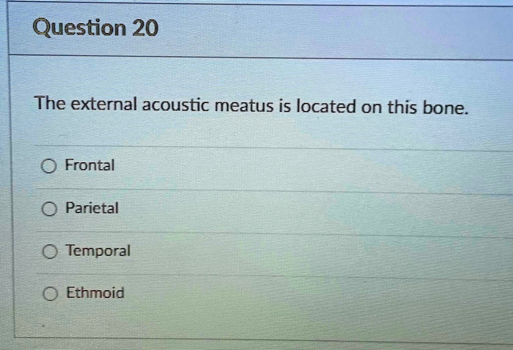 Solved: Question 20 The External Acoustic Meatus Is Located On This 