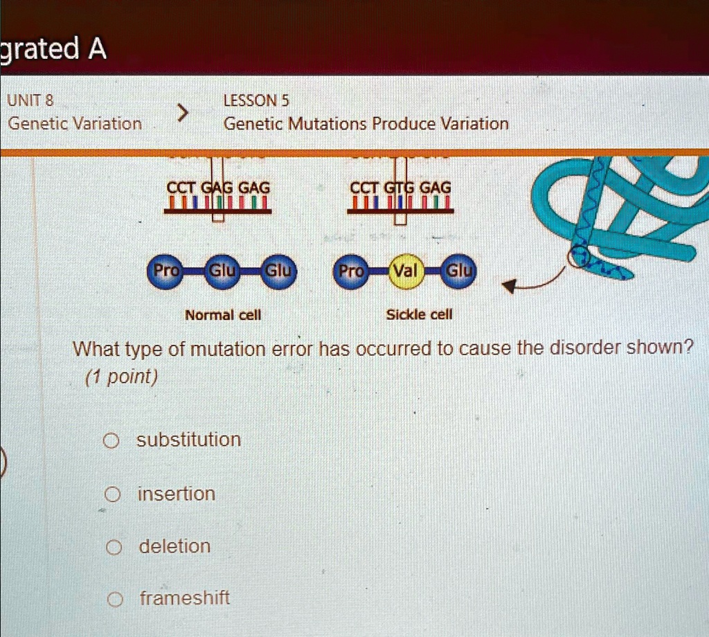 SOLVED Graded A UNIT 8 LESSON 5 Variation Mutations