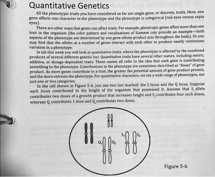 Quantitative Genetics All the phenotypic traits you have considered so ...
