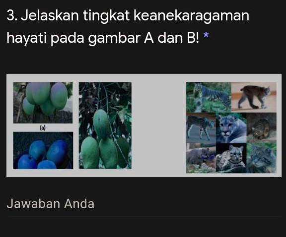 SOLVED: 3. Jelaskan Tingkat Keanekaragaman Hayati Pada Gambar A Dan B ...