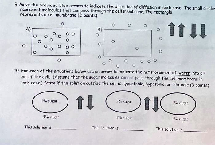 solved-9-move-the-provided-blue-arrows-to-indicate-the-direction-of