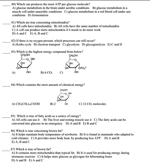 Solved:80) Which Can Produces The Most Atp Per Glucose Molecule? Glucose  Metabolism In The Brain Under Aerobic Conditions B) Glucose Metabolism In A  Muscle Cell Under Anaerobic Conditions Glucose Metabolism In Red Solved:80) Which Can Produces The Most Atp Per Glucose Molecule? Glucose  Metabolism In The Brain Under Aerobic Conditions B) Glucose Metabolism In A  Muscle Cell Under Anaerobic Conditions Glucose Metabolism In Red