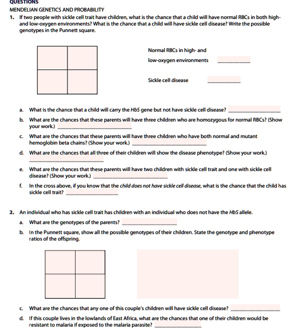 SOLVED: QUESTIONS MENDELIAN GENETICS AND PROBABILITY If two people with ...