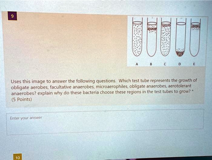SOLVED Use this image to answer the following questions Which test