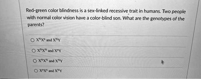 Solved Red Green Color Blindness Is A Sex Linked Recessive Trait In Humans Two People With 7650